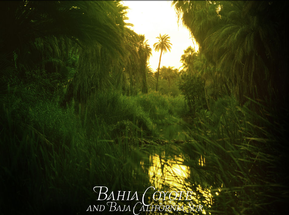 Baja California Sur