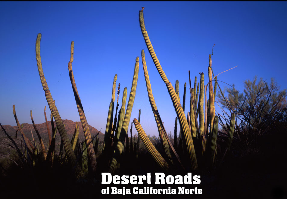 Road of Mexico