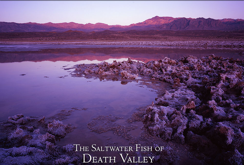 Death Valley Water
