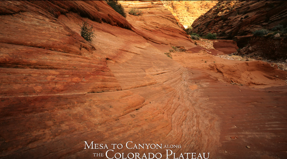 Canyon