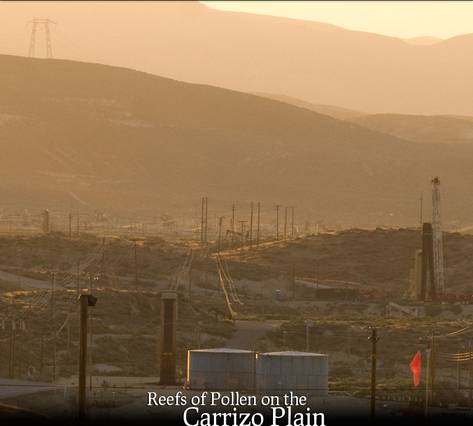 Near Carrizo Plain