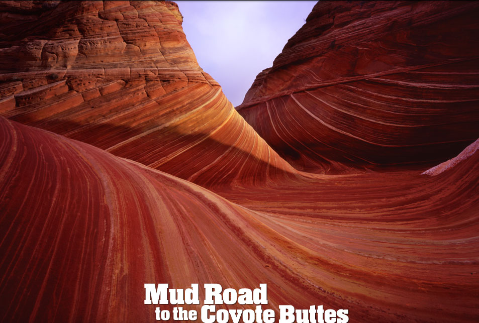 The Coyote Buttes Wave