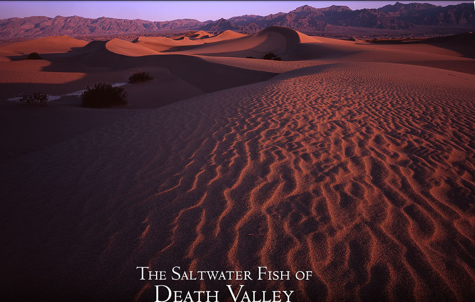 Mesquite Dunes, Death Valley, California