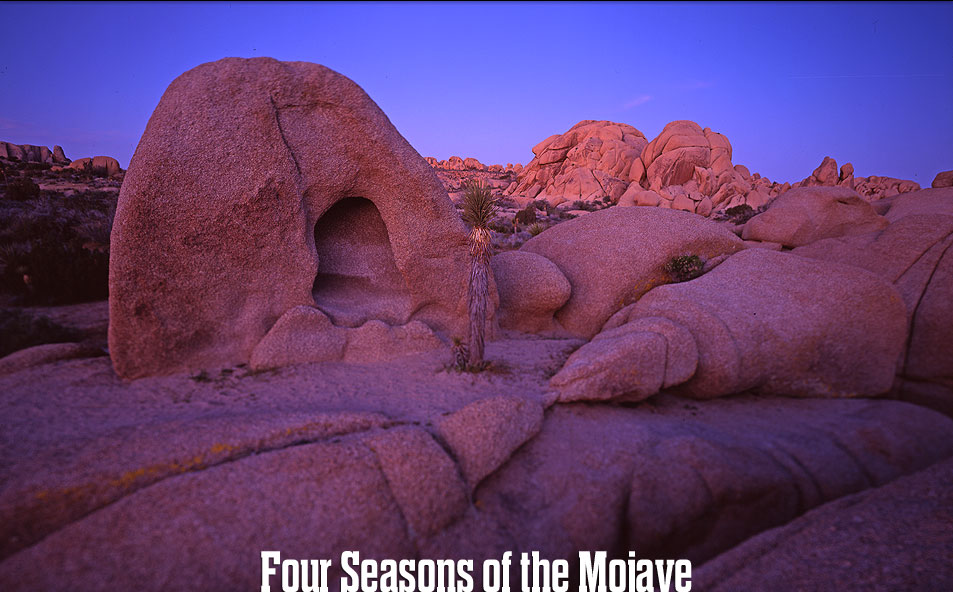 Joshua Tree National Park