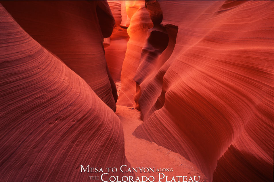 Antelope Canyon Photograph