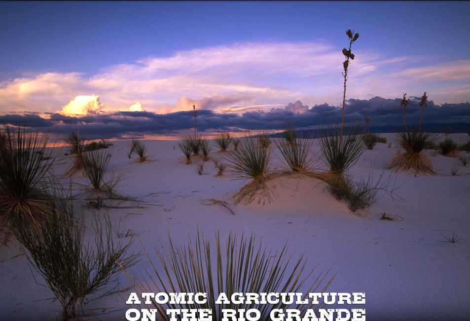 White Sands