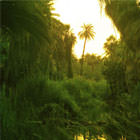 Baja California Sur