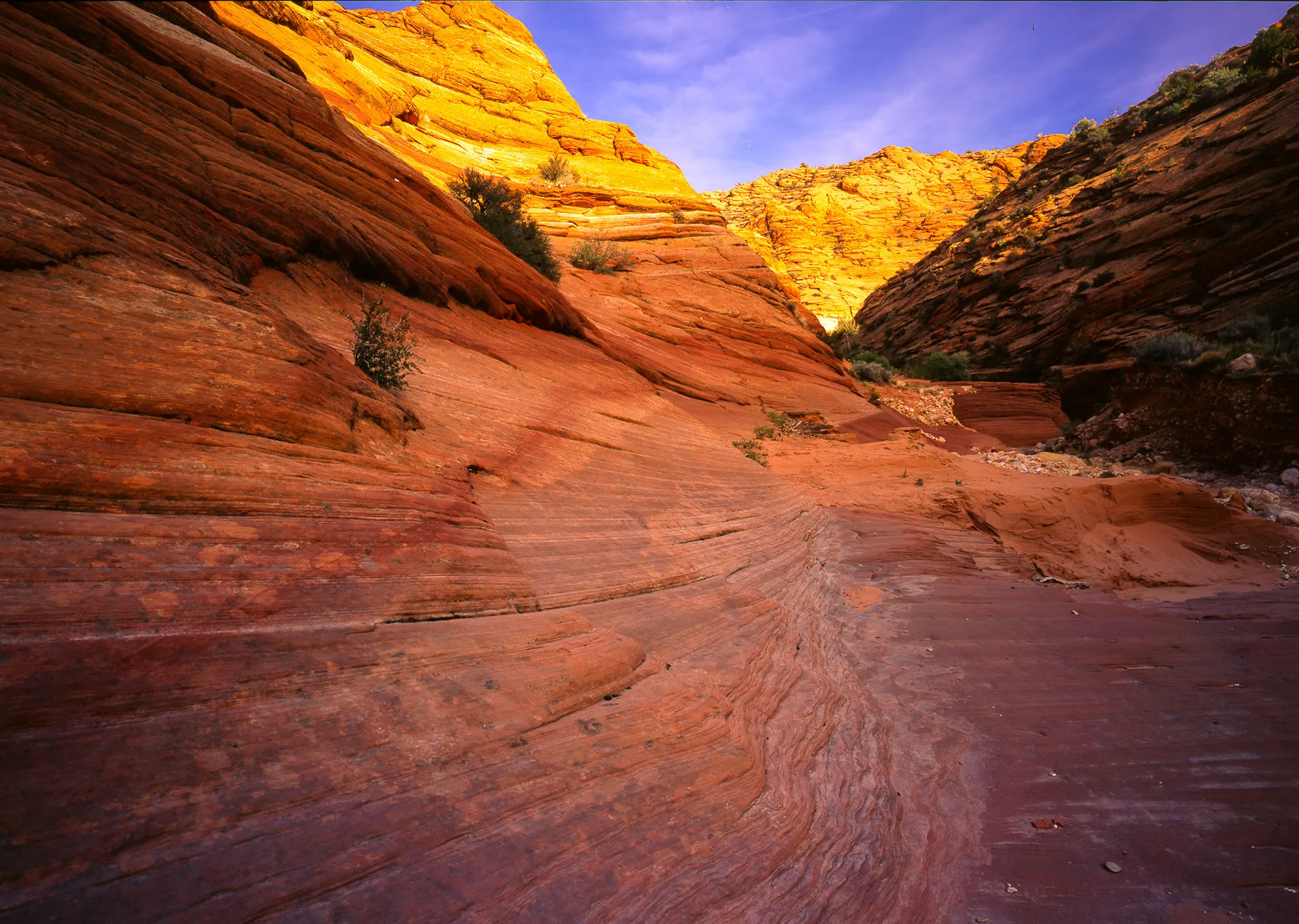 A red sandstone canyon with cross-bedded walls glowing gold at the rim, Colorado Plateau
