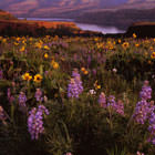 Hood River