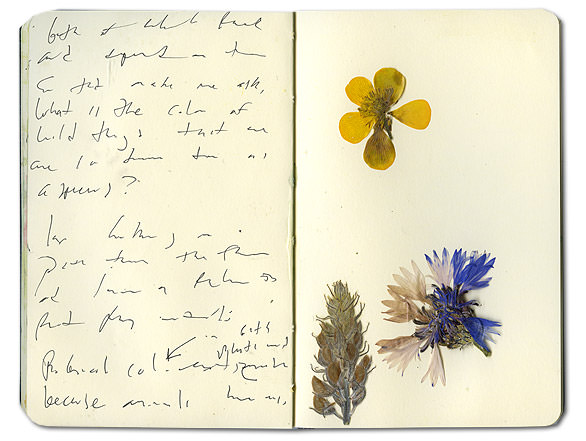 How to preserve flowers in a book