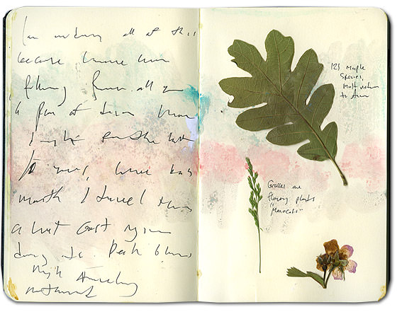 Moleskine Journal with pressed leaves