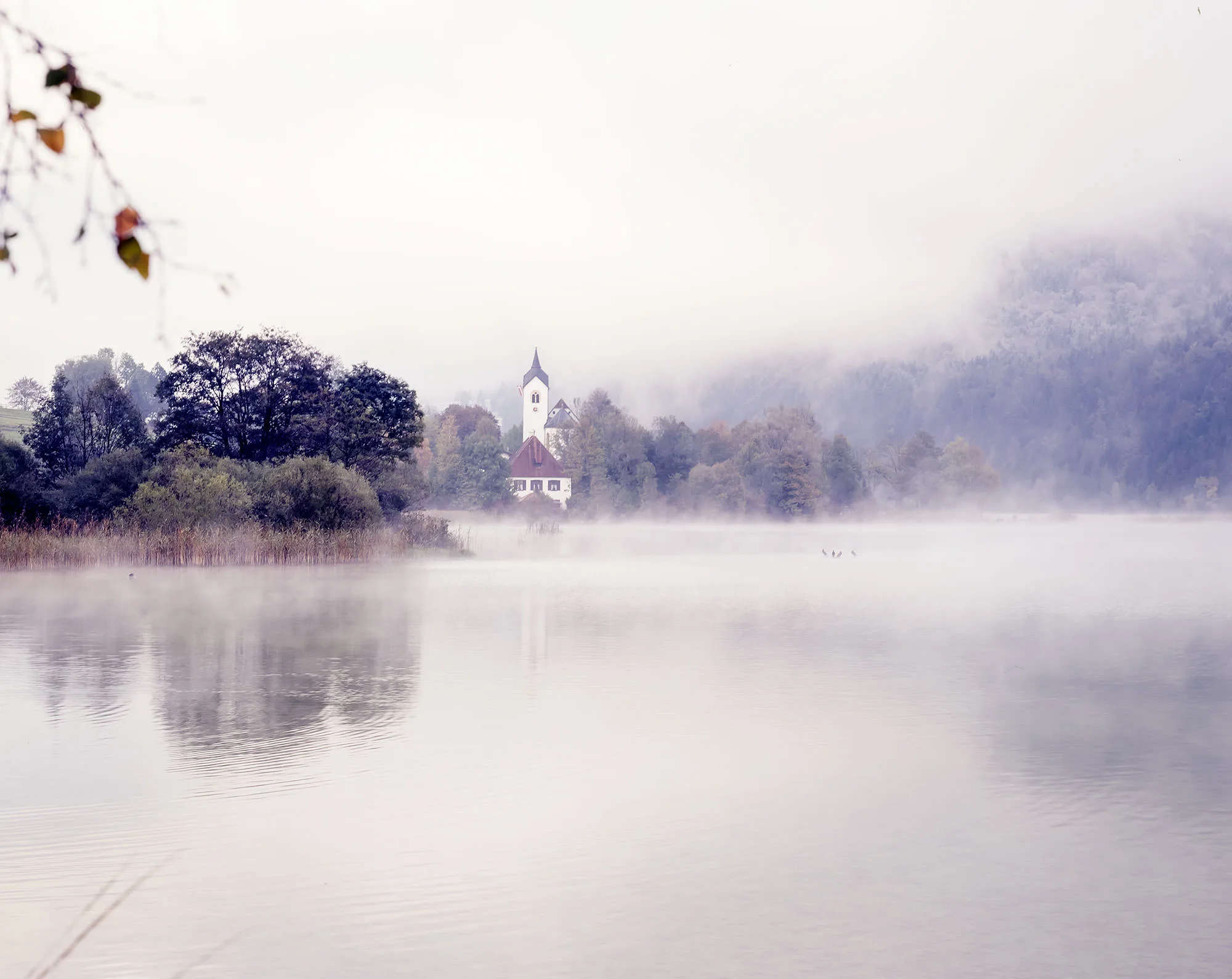 A white church steeple among autumn trees across the misty Oberried Reservoir at dawn