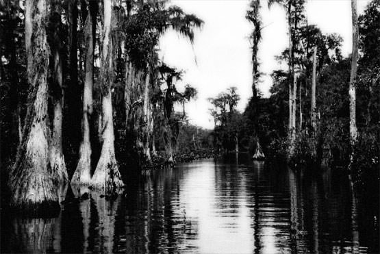 Okefenokee