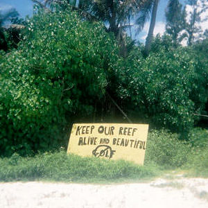 Keep our Reef Alive and Beautiful