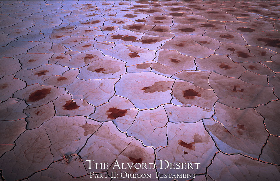 Geometric Structures in the Desert