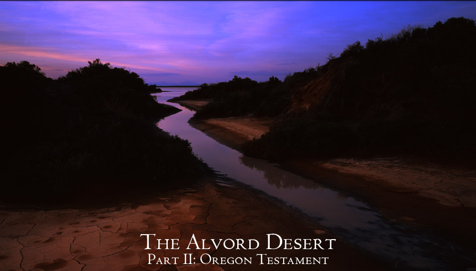 Alvord Desert