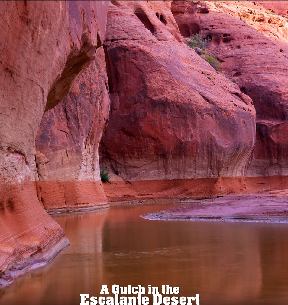 Calf Creek