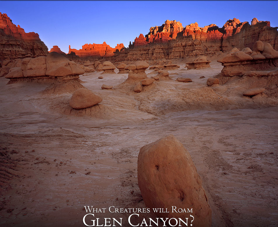 Goblin Valley, Utah Photo