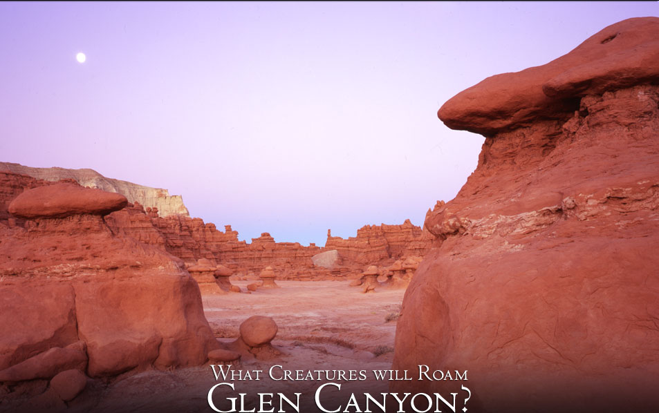 Glen Canyon