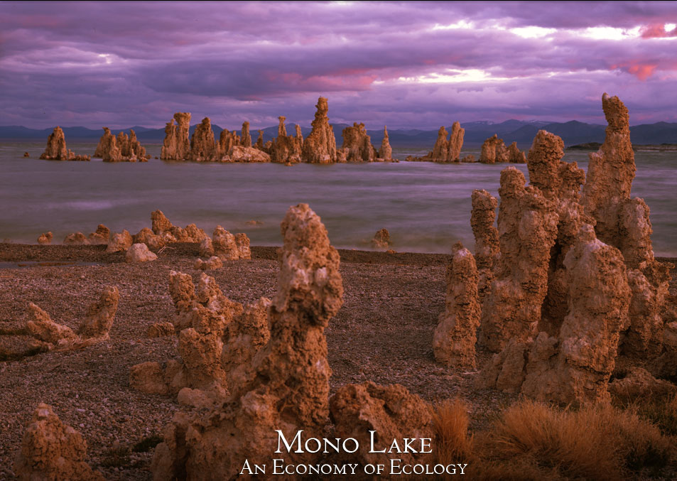 Mono Lake