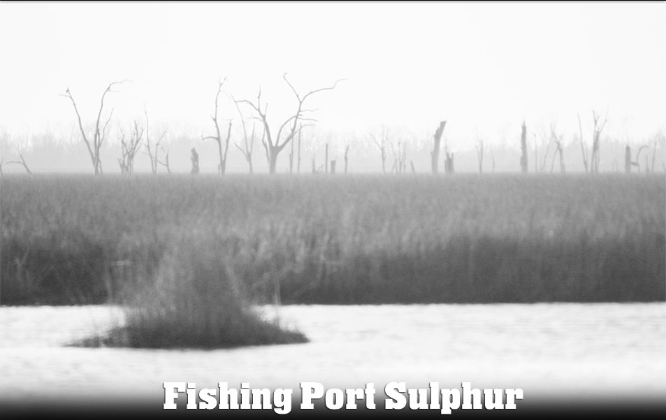 Pontchartrain Photo