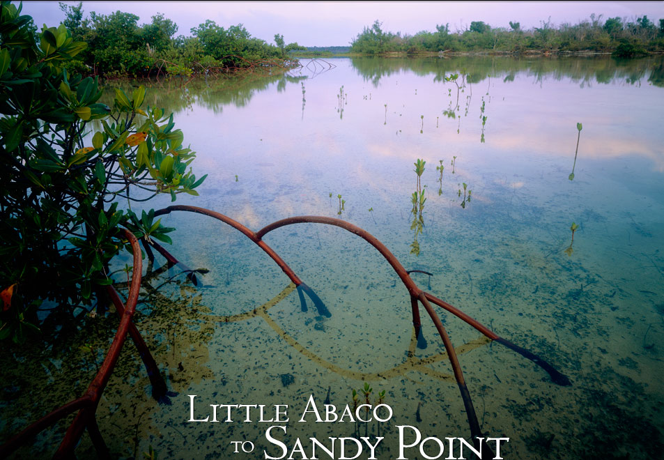 Abaco Islands