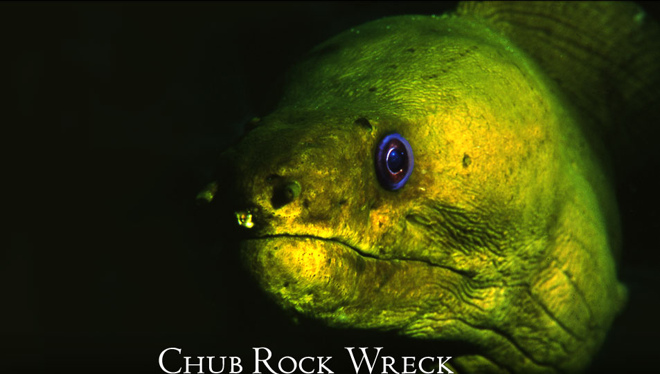 Chub Rock Wreck