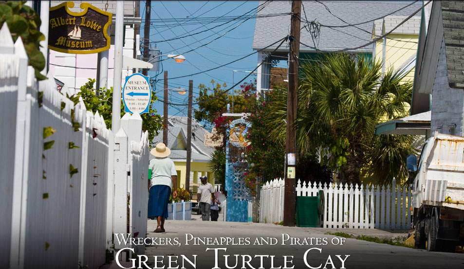 Green Anole