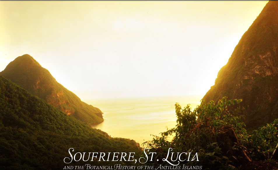 St. Lucia Pitons