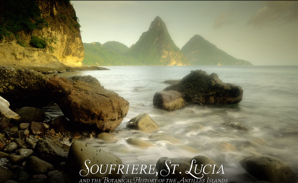 St. Lucia Pitons