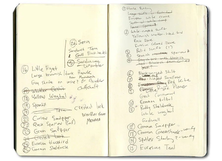 Pages from Erik Gauger's Moroccan sketchbook with a handwritten list of birds seen, including little egret, yellow wagtail and curlew sandpiper.