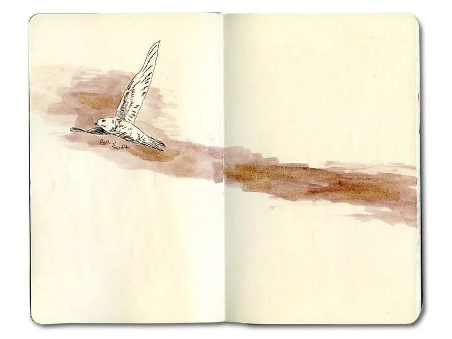 Journal notes and sketches from Erik Gauger's time in Morocco