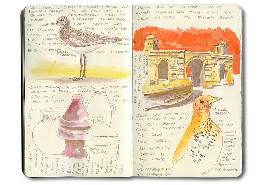 Sketch-journal page of a mistle thrush, green sandpiper and Moroccan pottery, from Erik Gauger's Marrakech notebook