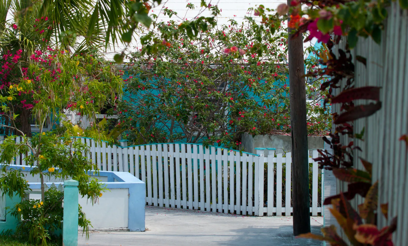 A sandy lane with a white picket fence, turquoise cottage and red bougainvillea, Elbow Cay, Abaco