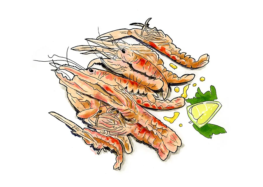 A small still life of Adriatic prawns