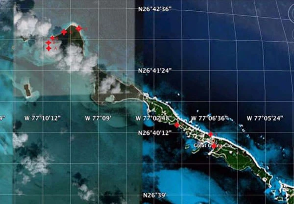 Algae Sites