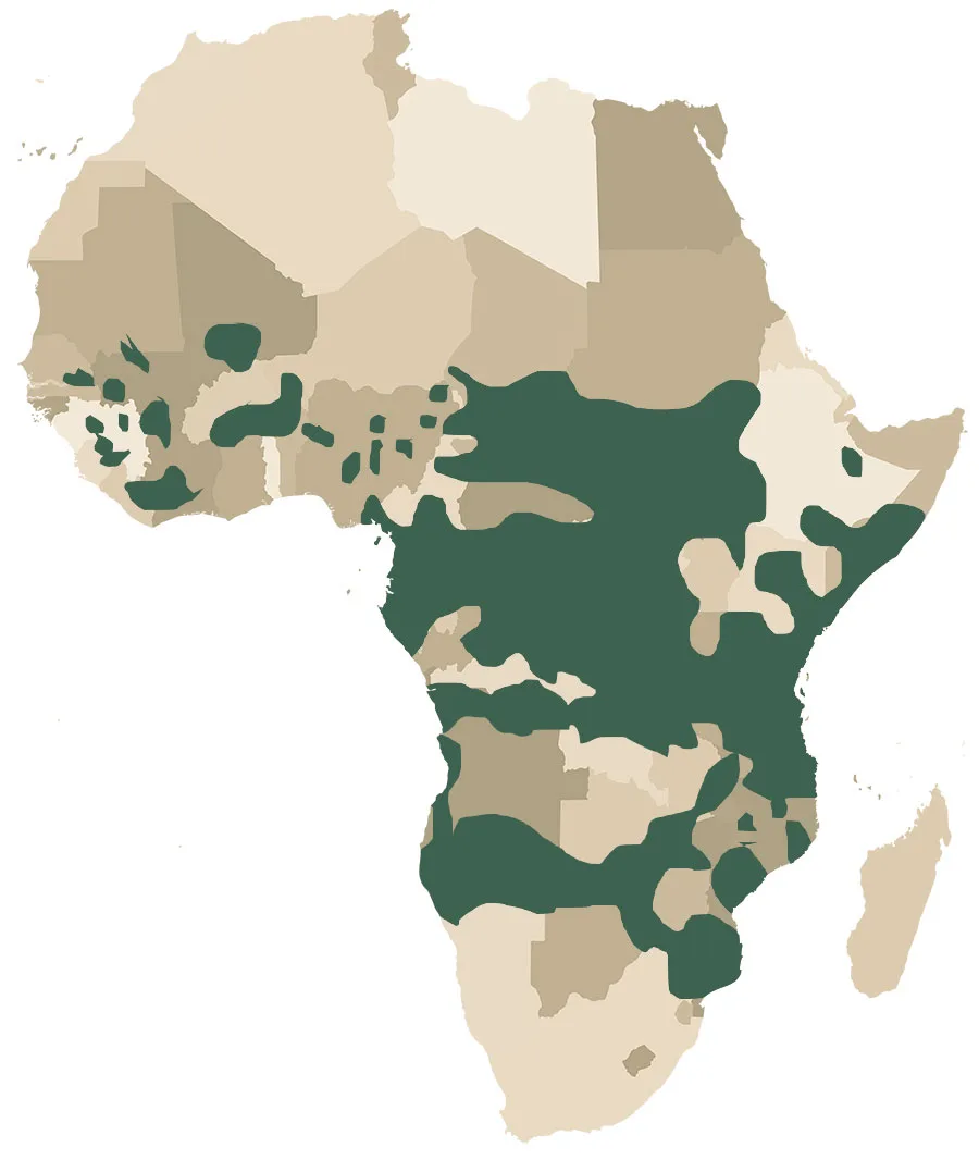 Map of Africa with the continent's national parks and protected areas shaded in dark green.