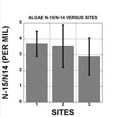 Algae Sites