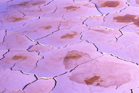 Alvord Desert