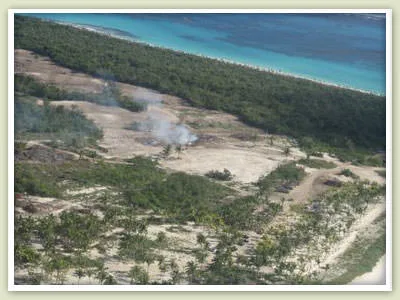 Amazing Devastation