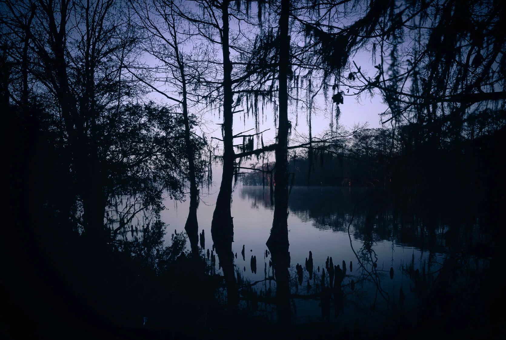 Silhouetted cypress trees hung with Spanish moss reflected in a still lake in Louisiana's Atchafalaya Basin at dusk.