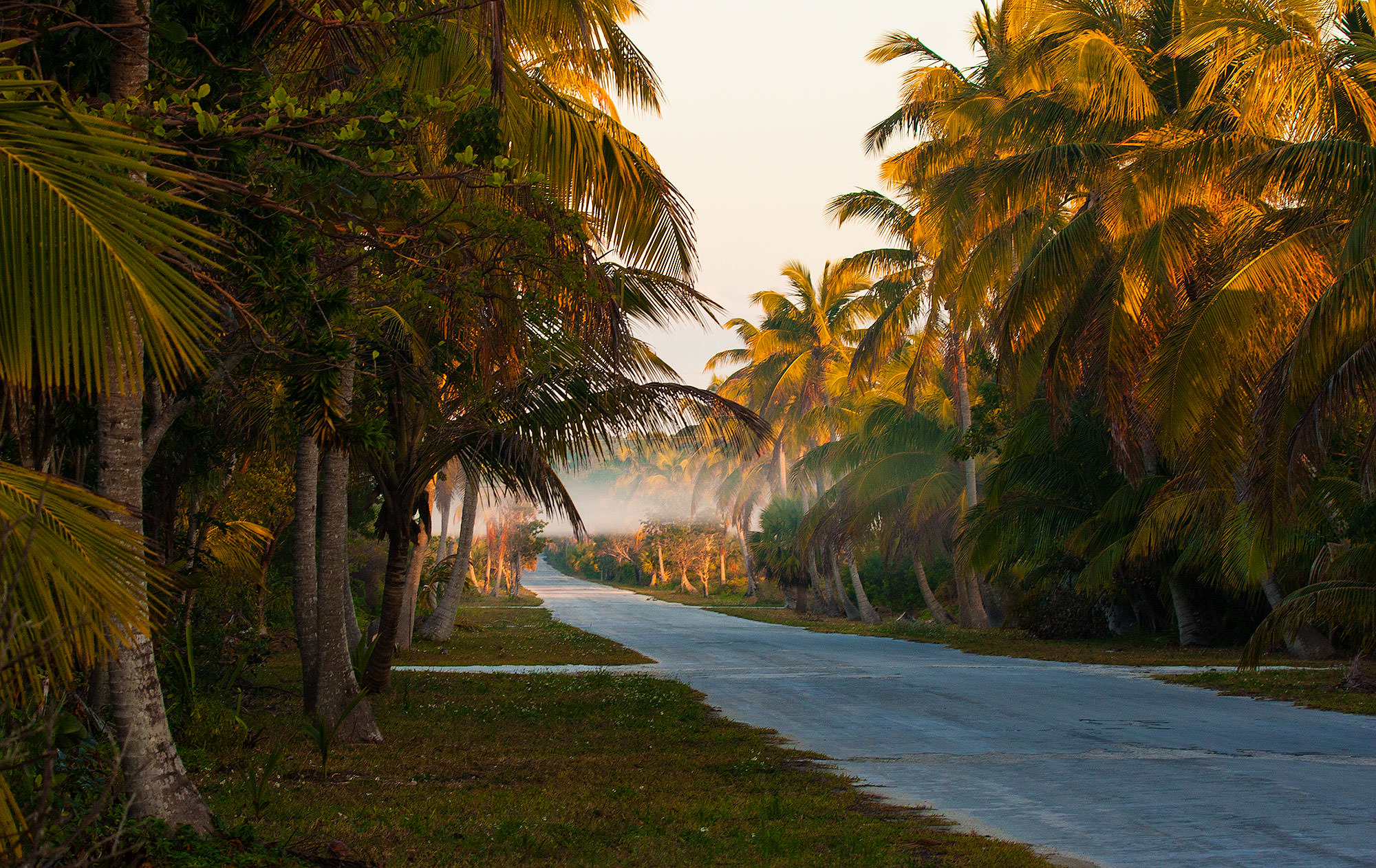 Bahama Palm Shores area