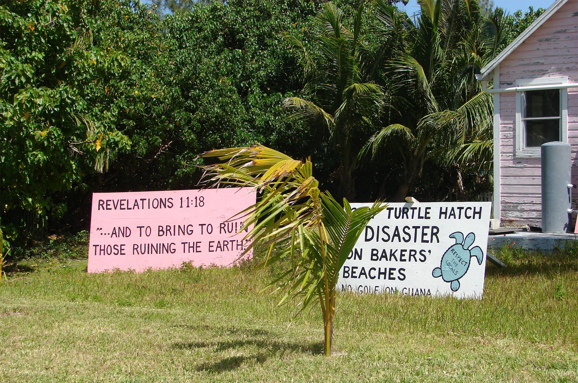 Hand-painted signs on Great Guana Cay reading “Turtle hatch disaster on Bakers' beaches” and a verse from Revelation 11:18