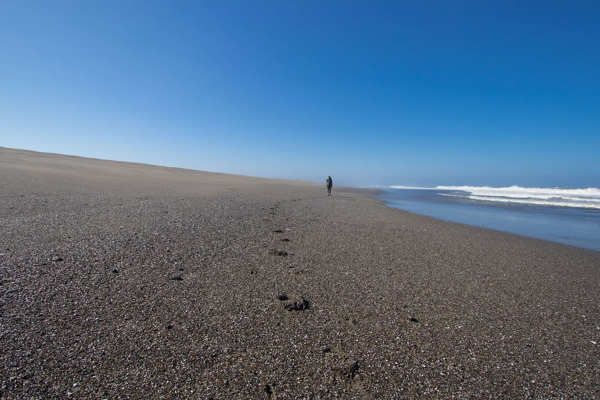 Beach on Bandon Backpacking Trail