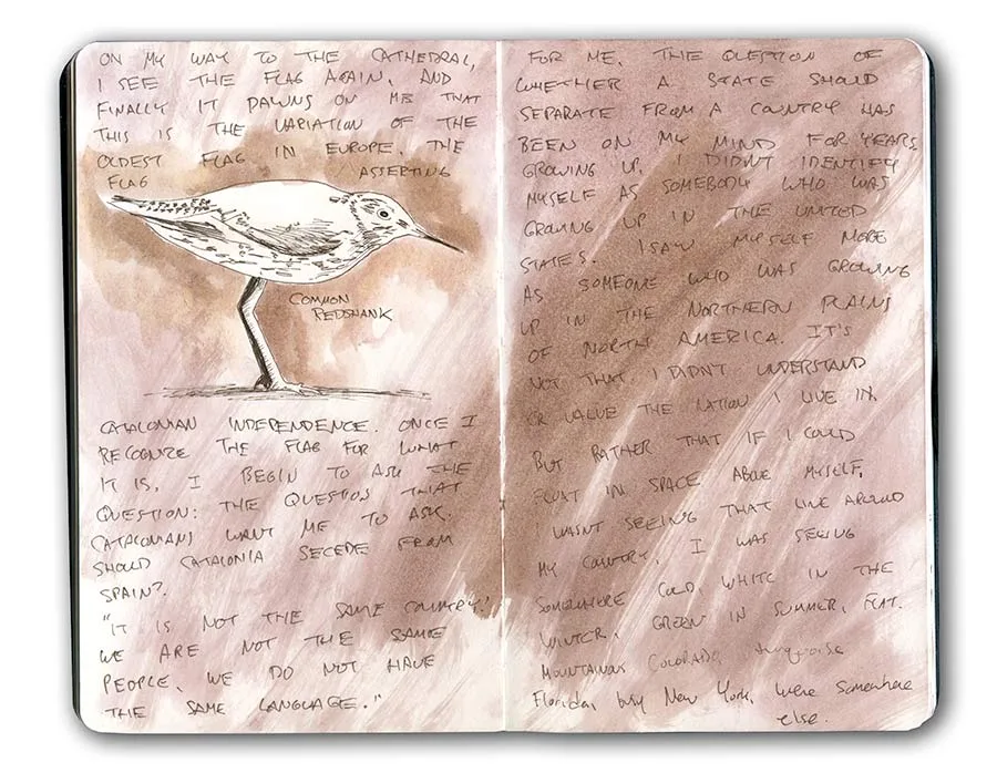 Moleskine spread with a sketch of a common sandpiper and handwritten notes from the Aiguamolls de l'Empordà wetlands in Catalonia.