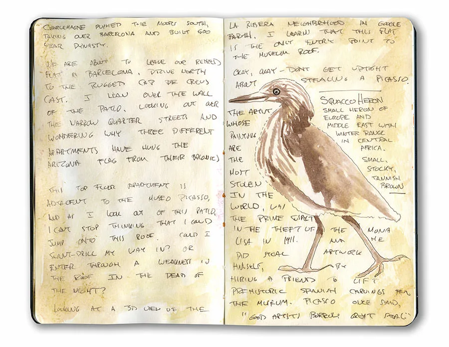 Moleskine spread with a sepia sketch of a squacco heron and handwritten notes from Catalonia.