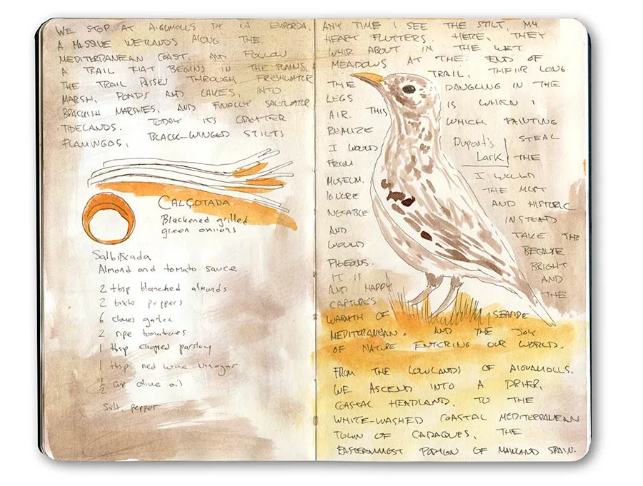 Moleskine spread with sketches of a Dupont's lark and a calçot onion, with handwritten notes about Catalonia.