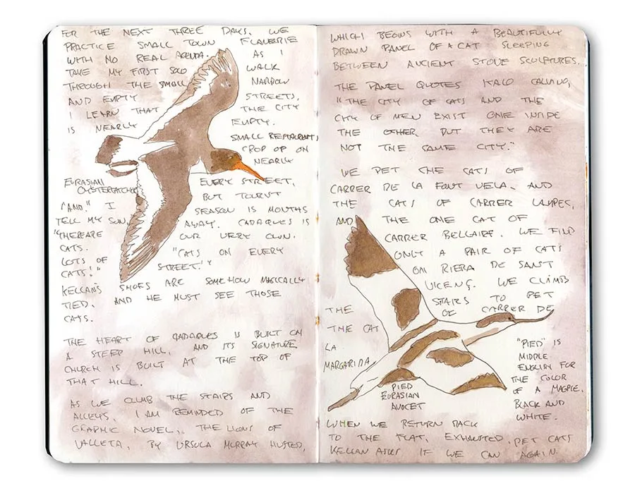 Moleskine Sketch of Birds on the Spain Coast