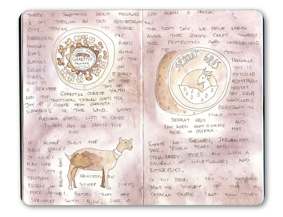 Moleskine spread with sketches of Catalan Garrotxa and Serrat cheeses and a goat, with handwritten notes.