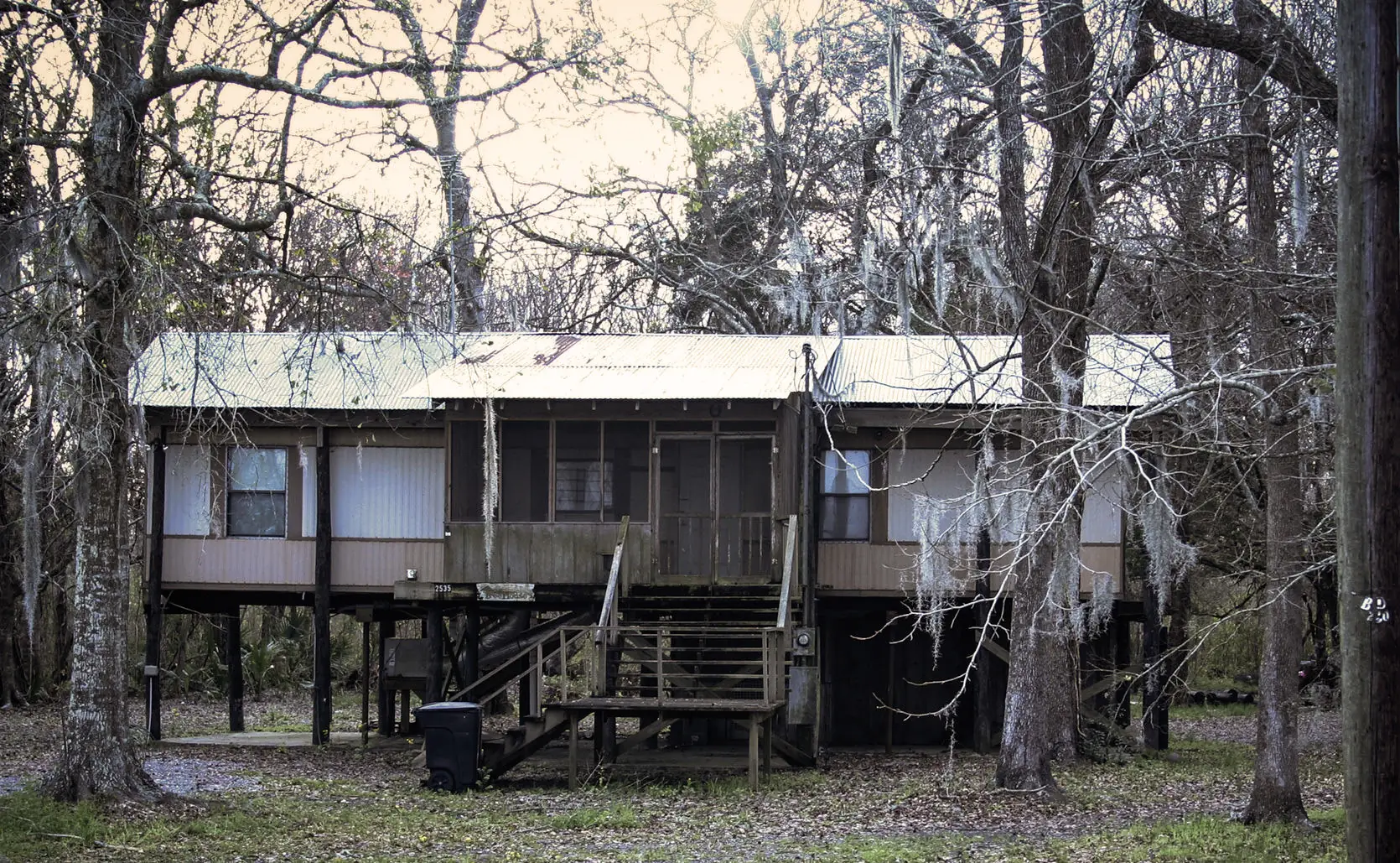 A raised wooden camp house on stilts among bare cypress trees and Spanish moss near Morgan City, Louisiana.